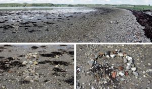 Copyright Birthe Havmøller