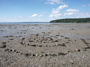 Copyright Birthe Havmøller